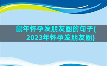 鼠年怀孕发朋友圈的句子(2023年怀孕发朋友圈)